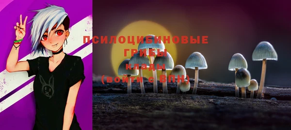 гидропоника Алзамай
