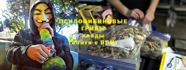синтетический гашиш Алексин