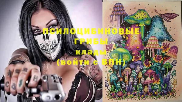 гидропоника Алзамай