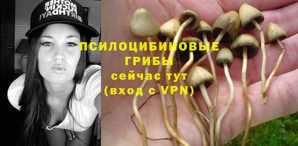 спайс Алексеевка