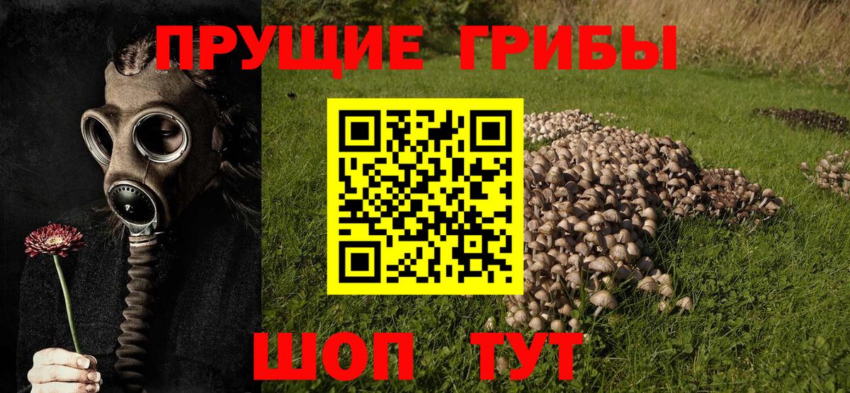 Галлюциногенные грибы MAGIC MUSHROOMS Батайск